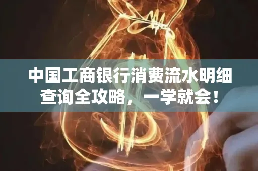 中国工商银行消费流水明细查询全攻略，一学就会！
