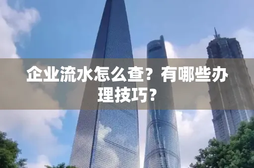 企业流水怎么查？有哪些办理技巧？