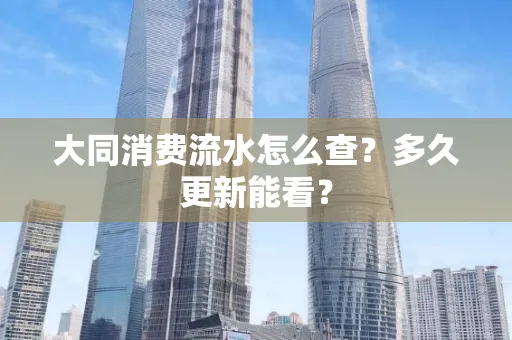 大同消费流水怎么查？多久更新能看？